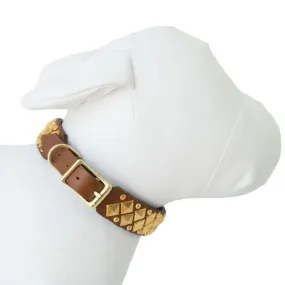 barbar gold collar chesnut leather