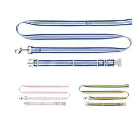 Chenpet Summer New Design Breathable Pet Collars Dog Leashes