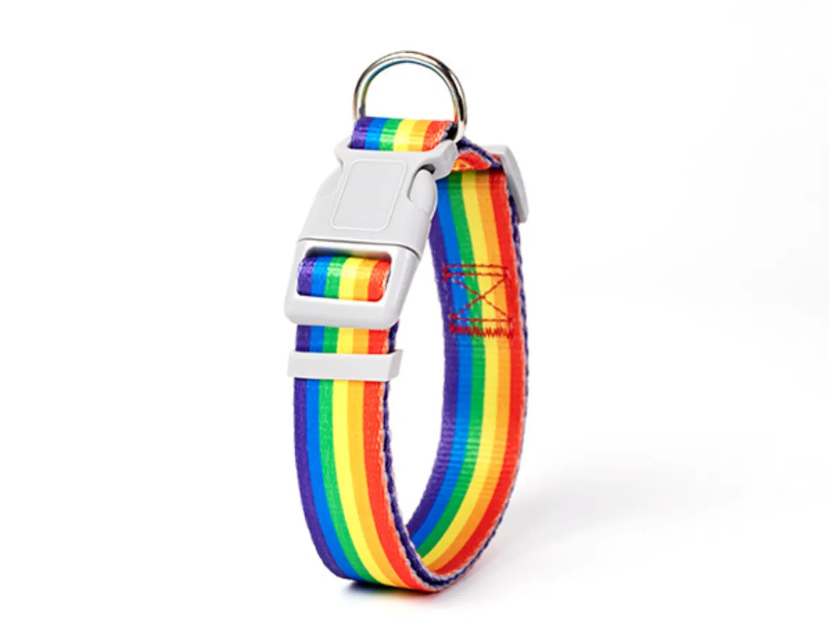 Chenpet Summer New Design Breathable Pet Collars Dog Leashes