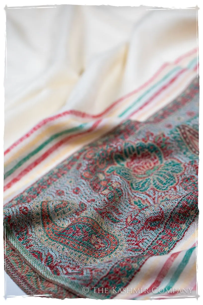 Donatella Frontière Ivory Kashmir Wool Scarf