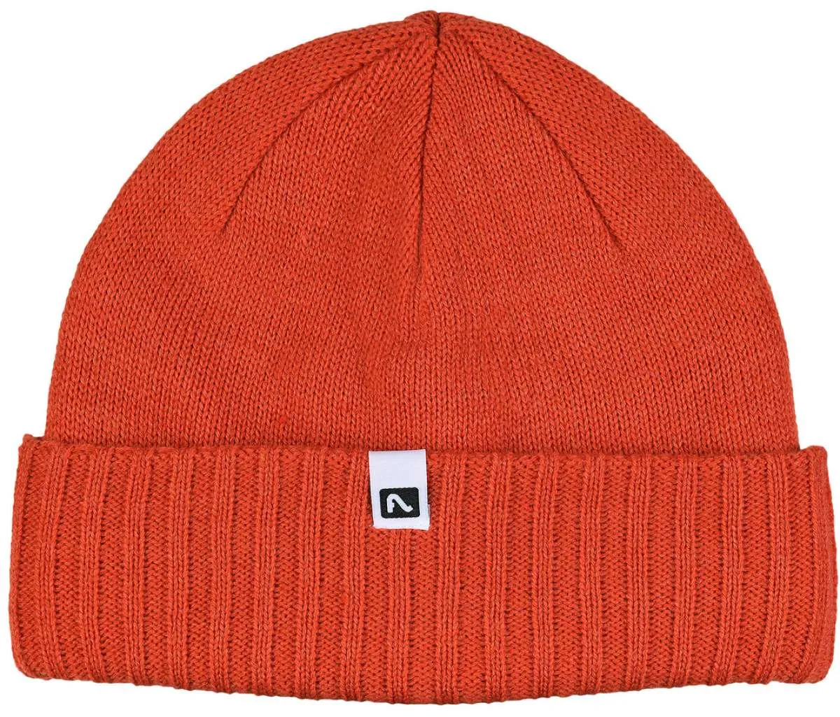 Flylow Forecaster Beanie 2023