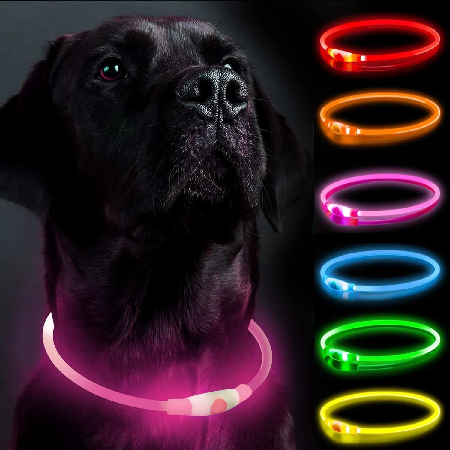 LED Dog Collar, Dog Collars, Rechargeable Shiny Night Walking