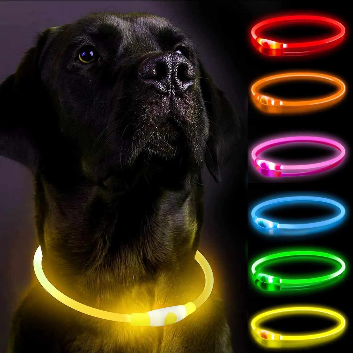 LED Dog Collar, Dog Collars, Rechargeable Shiny Night Walking