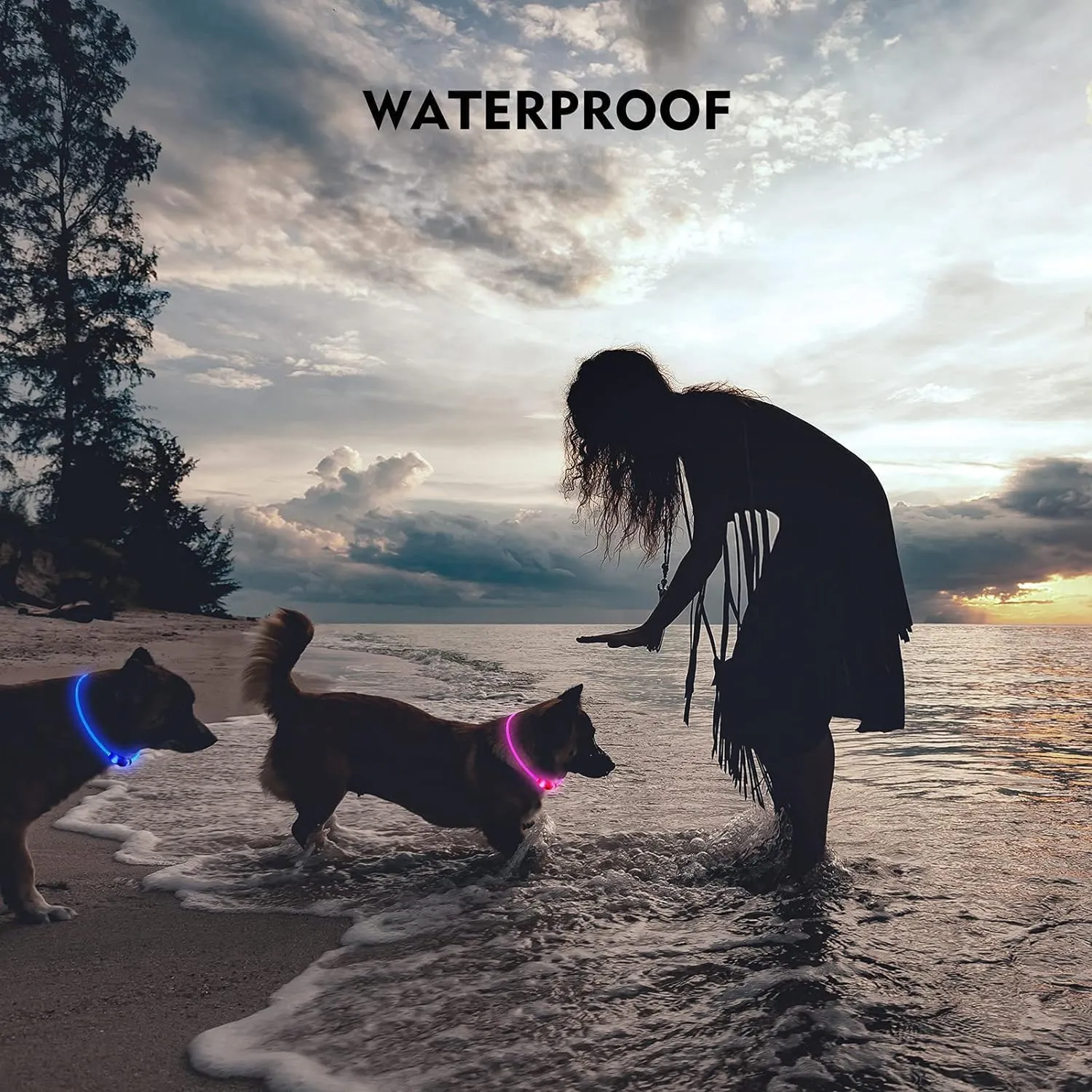 LED Dog Collar, Dog Collars, Rechargeable Shiny Night Walking