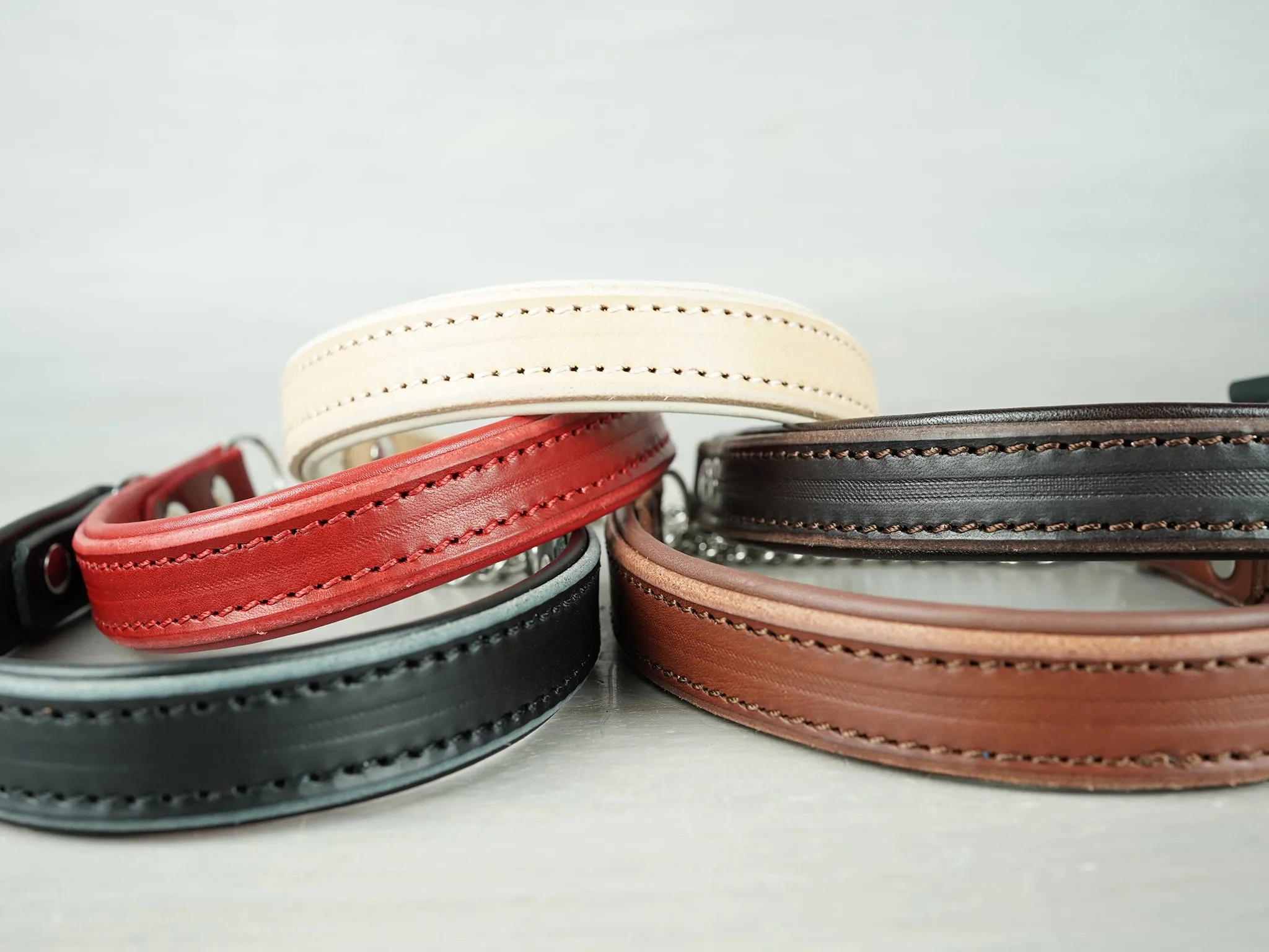 Padded Leather Martingale Dog Collar With Custom Hardware