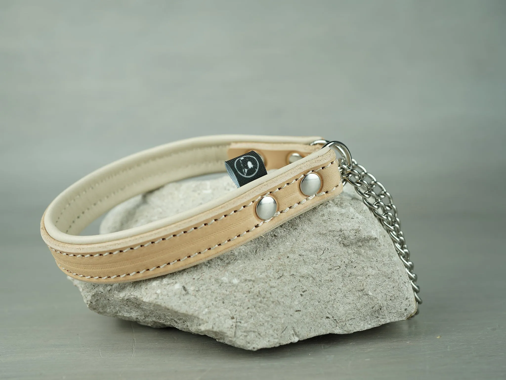 Padded Leather Martingale Dog Collar With Custom Hardware