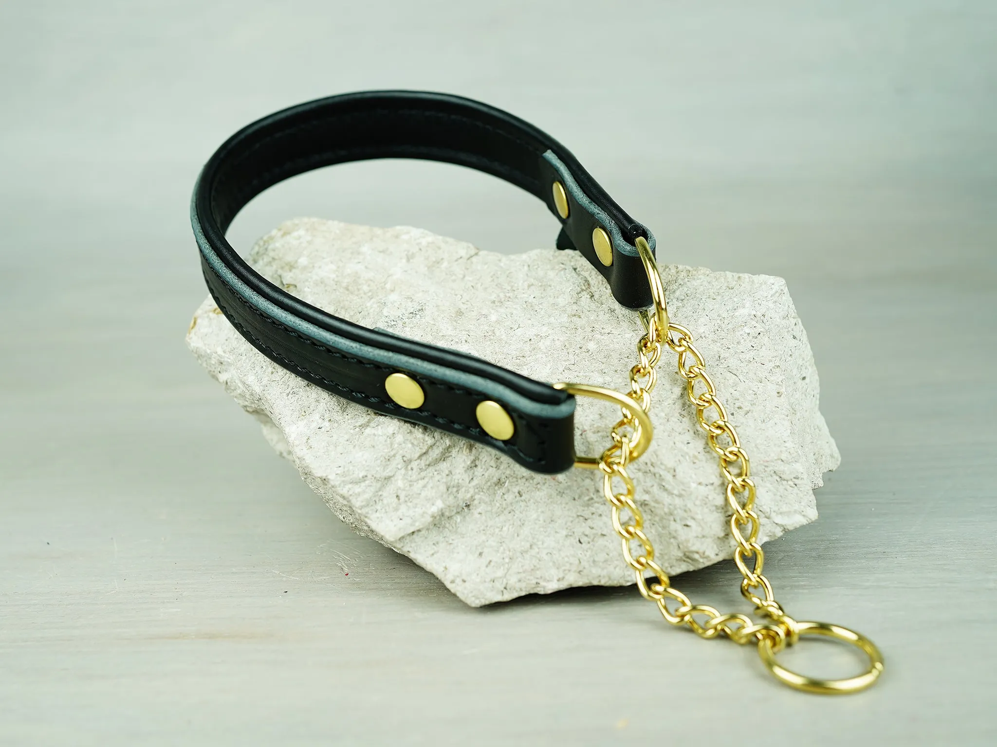 Padded Leather Martingale Dog Collar With Custom Hardware