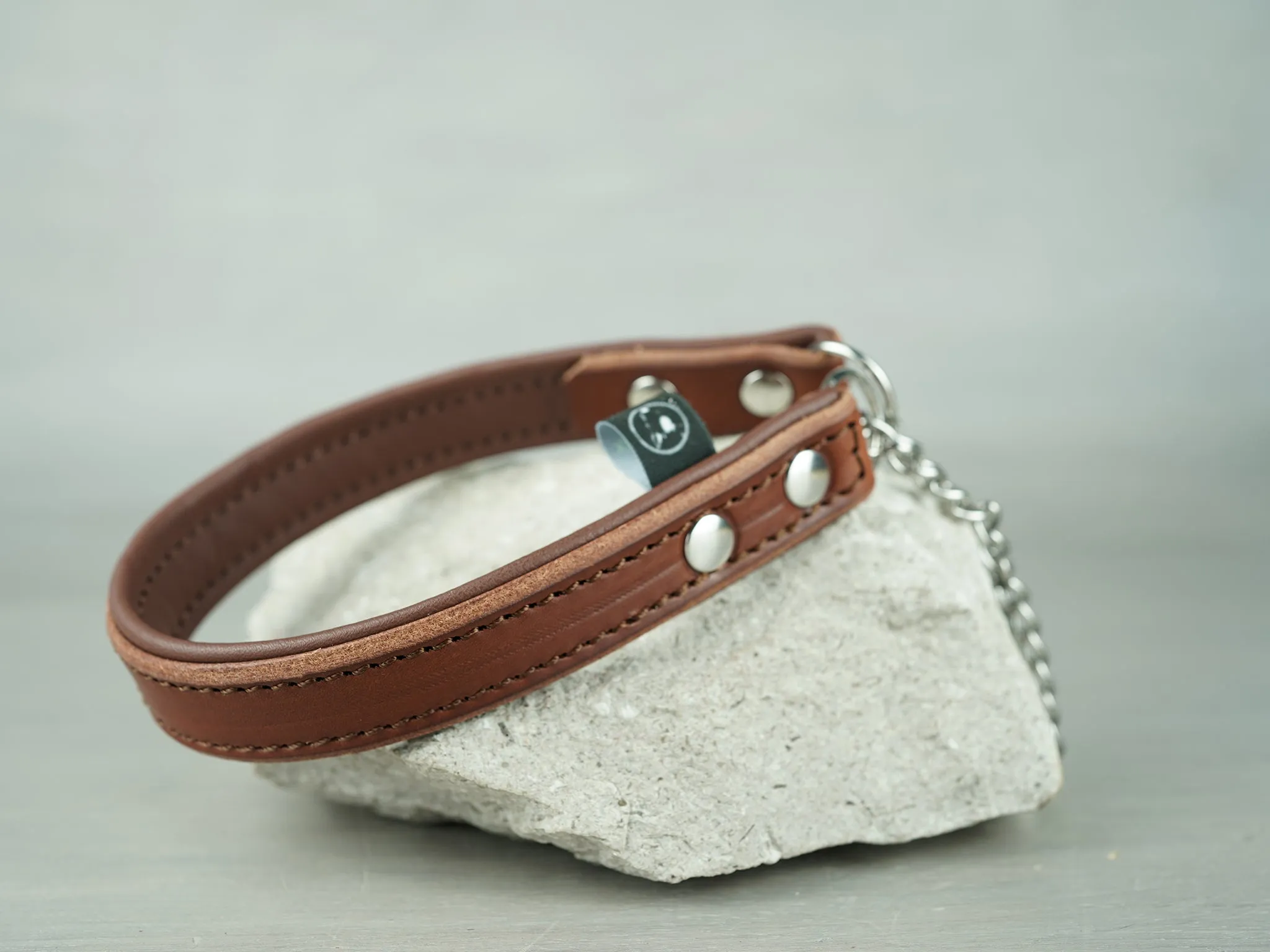 Padded Leather Martingale Dog Collar With Custom Hardware