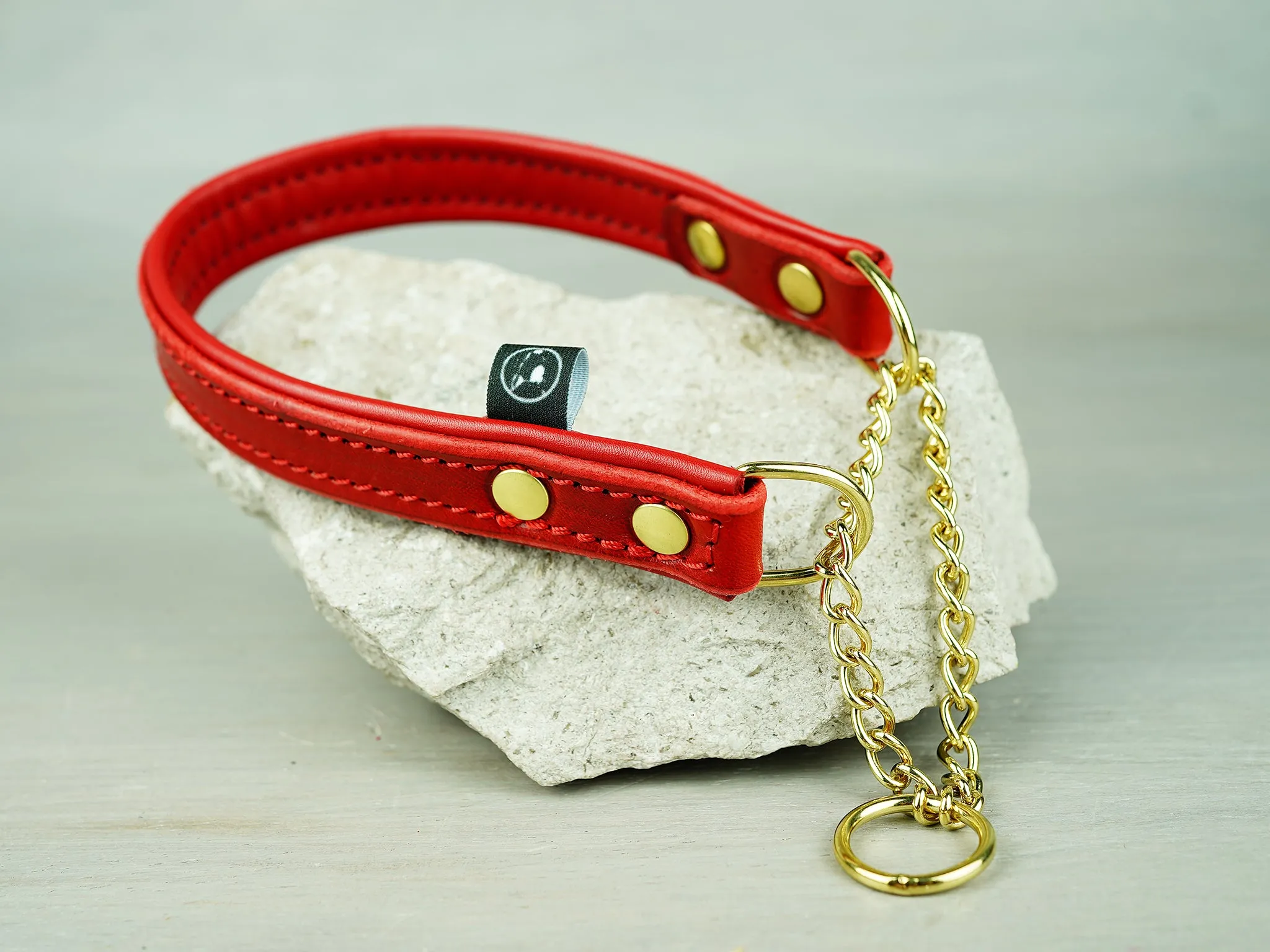 Padded Leather Martingale Dog Collar With Custom Hardware
