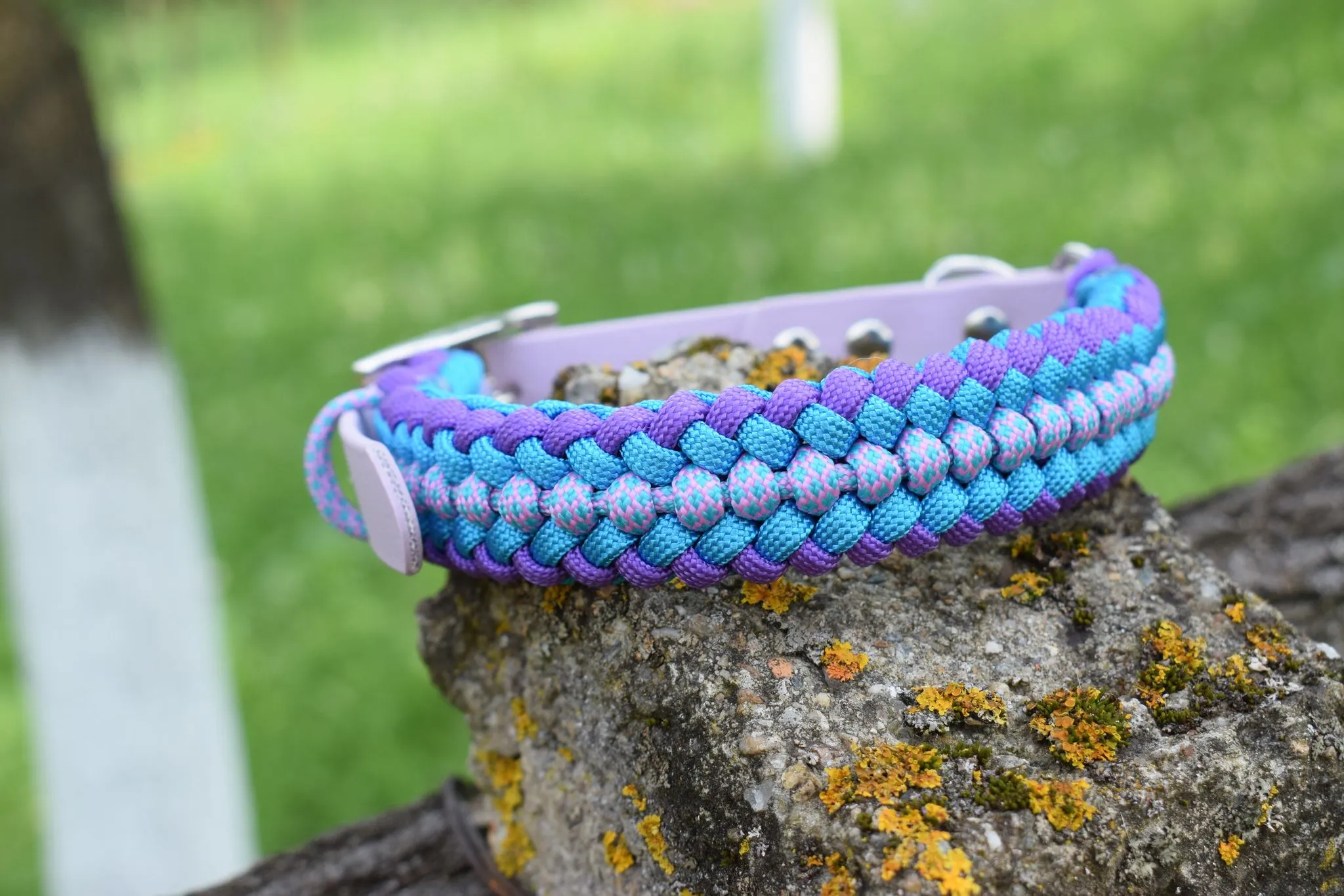 P&M braid Dog collar