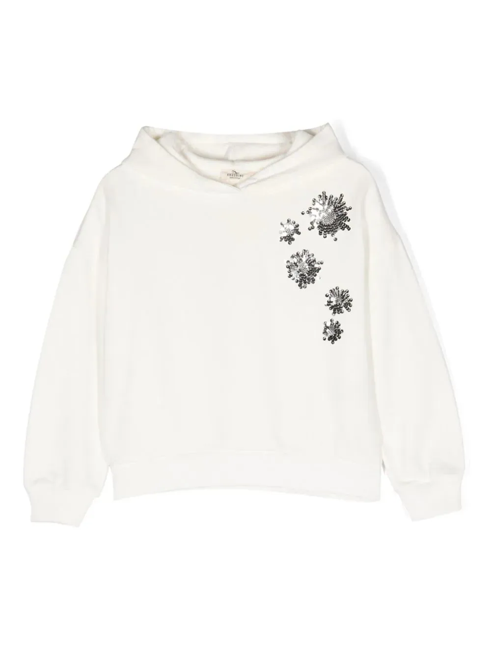 SEQUIN EMBROIDERED HOODIE