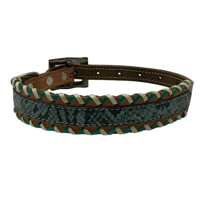 Teal Python Leather Dog Collar