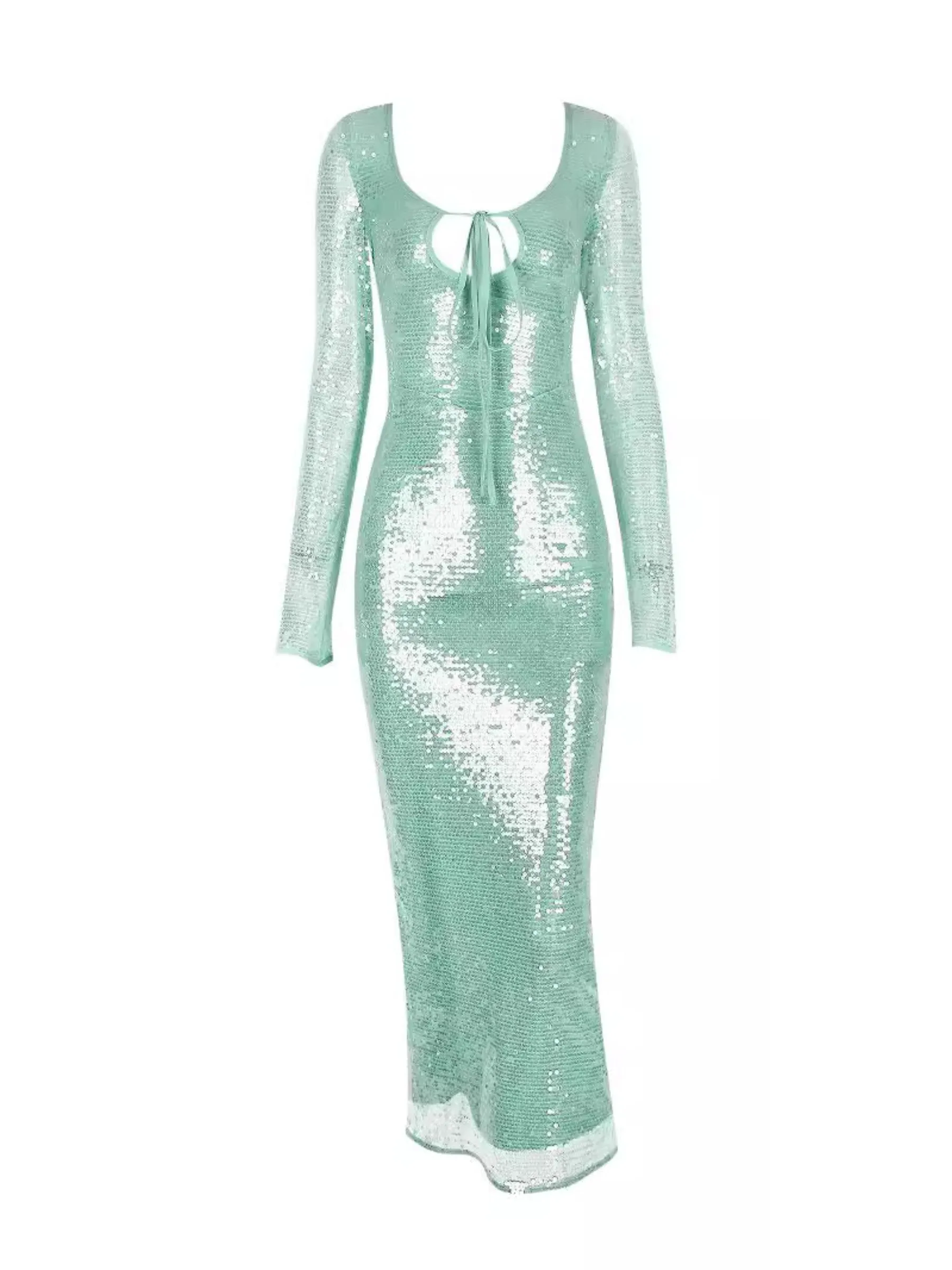 Vvsha Charvi Sequin Maxi Dress