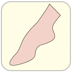 WSYJ570FO Sylvia Prima Footed Tights